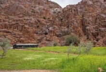 الطلعات-البرية-بحائل.-إقبال-على-المخيمات-في-أجواء-ربيعية-مميزة