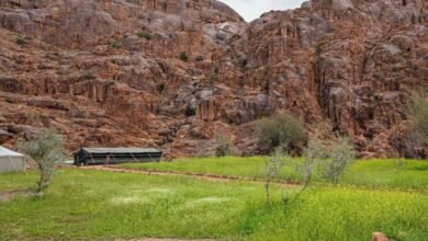 الطلعات-البرية-بحائل.-إقبال-على-المخيمات-في-أجواء-ربيعية-مميزة