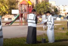 200-طالب-متطوع-يشاركون-في-مبادرة-جمال-الأحساء-الحضري