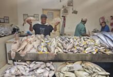 الرياح-والتصدير-وقوة-الشراء-ترفع-أسعار-الأسماك-بالشرقية-إلى-100%