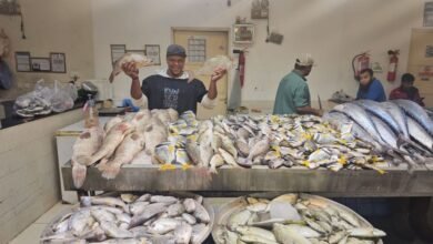 الرياح-والتصدير-وقوة-الشراء-ترفع-أسعار-الأسماك-بالشرقية-إلى-100%