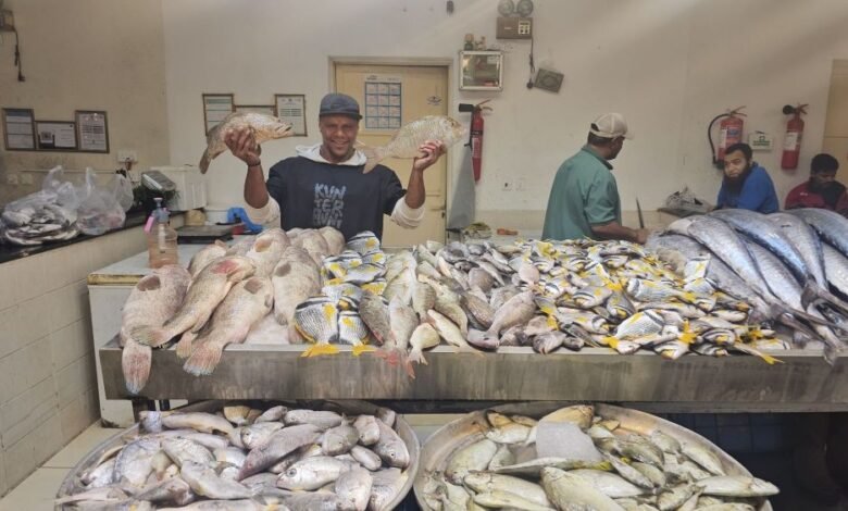 الرياح-والتصدير-وقوة-الشراء-ترفع-أسعار-الأسماك-بالشرقية-إلى-100%