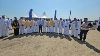 الشرقية-تتنفس-بالأخضر.-استزراع-20-ألف-شتلة-مانجروف-في-تاروت