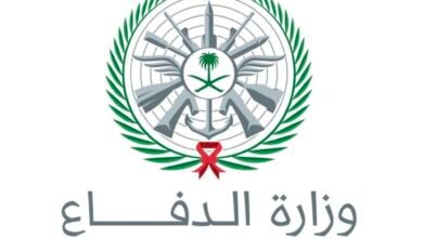 وزارة-الدفاع:-اعتراض-وتدمير-مسيّرتين-خلال-الساعات-الماضية