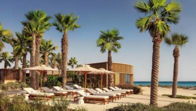 أجواء-معتدلة-وتجارب-بحرية-فريدة. الخيارات-على-شواطئ-المملكة-لا-تنتهي