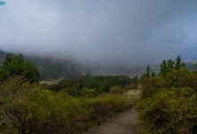 لوحة-طبيعية-مميزة.-أجواء-ضبابية-كثيفة-تزين-جبال-الباحة