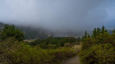 لوحة-طبيعية-مميزة.-أجواء-ضبابية-كثيفة-تزين-جبال-الباحة