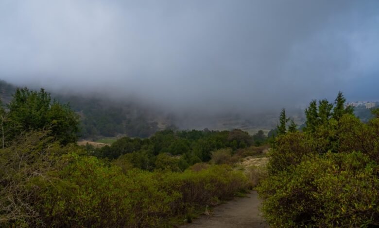 لوحة-طبيعية-مميزة.-أجواء-ضبابية-كثيفة-تزين-جبال-الباحة