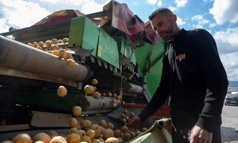 الحرب-على-إيران-تُشعل-موجة-تقشف-عالمية-وتضغط-على-اقتصادات-هشة