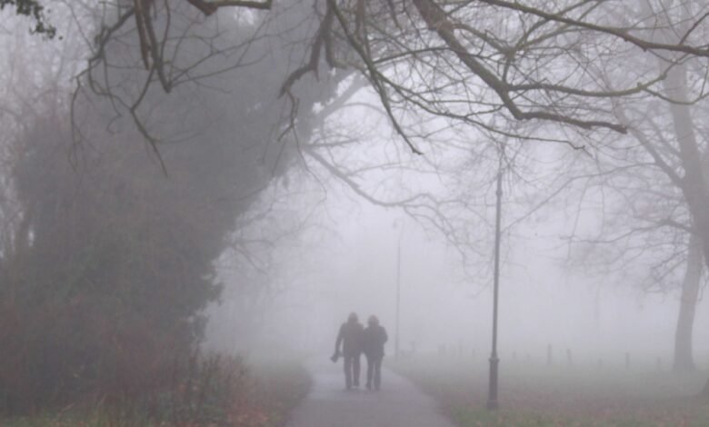 ضباب-وأمطار.-الأرصاد-يصدر-إنذارا-برتقالي-تنبيها-من-طقس-الشرقية