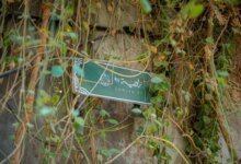 “زاوية-97”.-قلبٌ-نابض-بالثقافة-وروائع-الحرف-في-جدة-التاريخية