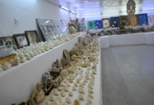 المتحف-البحري-بفرسان.-نافذة-على-كنوز-البحر-الأحمر-وإرث-المحافظة-العريق