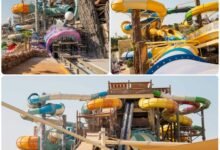 جزيرة-بياضة.-رحلة-بحرية-ثرية-في-مالديف-جدة