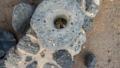 صور-|-قصر-خراش-بفيد-الأثرية.-دور-تاريخي-في-حماية-القوافل-بحائل