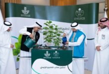 «مكتب-التشجير».-مبادرة-جديدة-لزيادة-الرقعة-الخضراء-بالشرقية