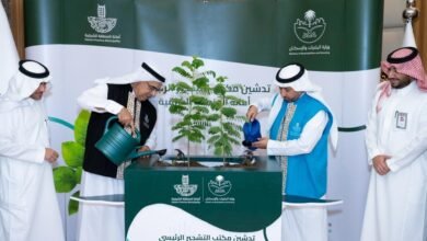 «مكتب-التشجير».-مبادرة-جديدة-لزيادة-الرقعة-الخضراء-بالشرقية