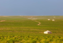 تنوّع-بيئي-وثروة-حيوانية-يعزّزان-الحراك-السياحي-في-الحدود-الشمالية