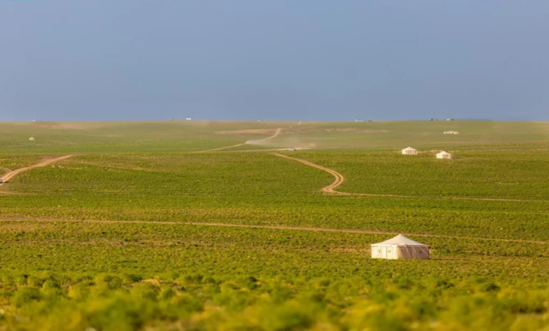 تنوّع-بيئي-وثروة-حيوانية-يعزّزان-الحراك-السياحي-في-الحدود-الشمالية