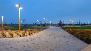 حديقة-الواحة.-إنجاز-يعزز-جودة-الحياة-بمحافظة-قرية-العليا