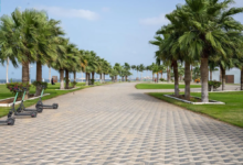 واجهة-المانجروف-في-جيزان.-أيقونة-ساحلية-جديدة-تُعزِّز-جاذبية-جازان-السياحية