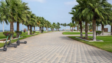 واجهة-المانجروف-في-جيزان.-أيقونة-ساحلية-جديدة-تُعزِّز-جاذبية-جازان-السياحية