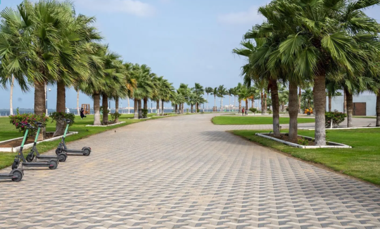 واجهة-المانجروف-في-جيزان.-أيقونة-ساحلية-جديدة-تُعزِّز-جاذبية-جازان-السياحية
