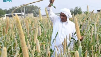 الزراعة-في-عسير.-تنوّع-جغرافي-يعزّز-الإنتاج-ويواكب-مستهدفات-الاستدامة