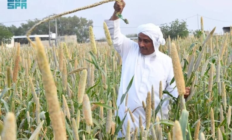 الزراعة-في-عسير.-تنوّع-جغرافي-يعزّز-الإنتاج-ويواكب-مستهدفات-الاستدامة