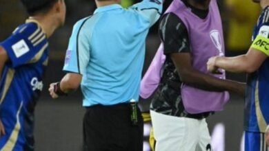 الصيني-ما-نينج.-جزائيات-جدلية-وأهداف-ملغية