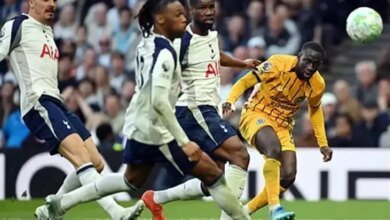 الممتاز-الإنجليزي:-توتنهام-يتعادل-مع-برايتون-بنتيجة-(2-–-2)