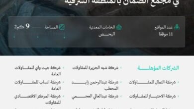 تأهيل-17-شركة-للمنافسة-على-11-موقعًا-تعدينيًّا