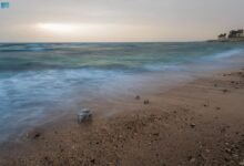 صور-|-التكوينات-الصخرية.-تناغم-بصري-مبهر-على-سواحل-محافظة-الوجه