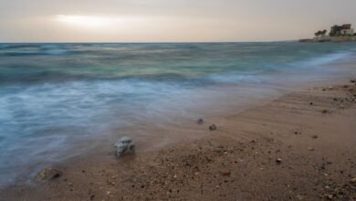 صور-|-التكوينات-الصخرية.-تناغم-بصري-مبهر-على-سواحل-محافظة-الوجه