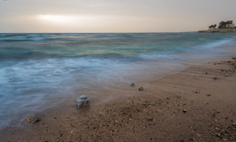 صور-|-التكوينات-الصخرية.-تناغم-بصري-مبهر-على-سواحل-محافظة-الوجه