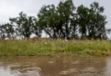 شاهد-بالصور.-الأمطار-تنعش-الحركة-السياحية-في-الأسياح-بالقصيم