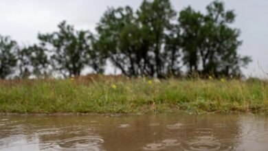 شاهد-بالصور.-الأمطار-تنعش-الحركة-السياحية-في-الأسياح-بالقصيم