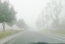 طقس-الصباح-الباكر.-أمطار-متوسطة-وضباب-على-أجزاء-من-الشرقية