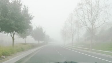 طقس-الصباح-الباكر.-أمطار-متوسطة-وضباب-على-أجزاء-من-الشرقية