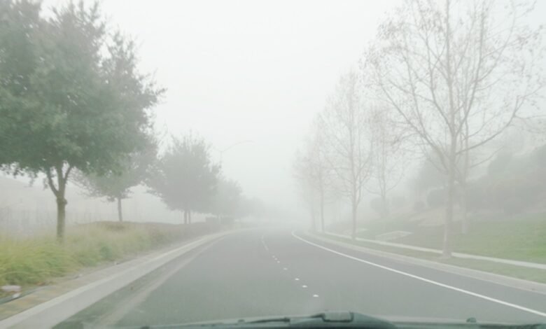 طقس-الصباح-الباكر.-أمطار-متوسطة-وضباب-على-أجزاء-من-الشرقية