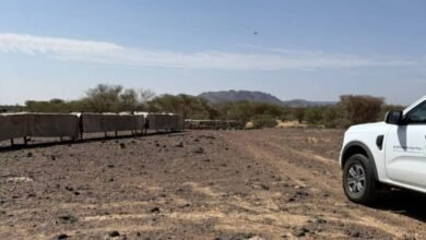 بيئة-رنية-تراقب-النحالين-لتعزيز-جودة-العسل