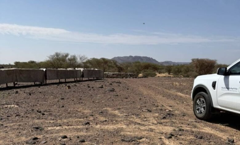 بيئة-رنية-تراقب-النحالين-لتعزيز-جودة-العسل