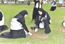 صور|-250-متطوعًا-يزينون-واجهة-الدمام-البحرية-بالشتلات-الزراعية