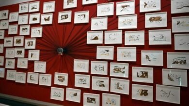 صور.-أكثر-من-ألف-قطعة-أثرية-وفنية-تروي-تاريخ-البحر-الأحمر-بمتحف-جدة