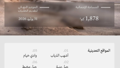 وزارة-الصناعة-تعلن-تمديد-تقديم-طلبات-التأهيل-للمنافسة-على-رخص-الكشف-في-8-مواقع-تعدينية-حتى-31-يوليو-المقبل