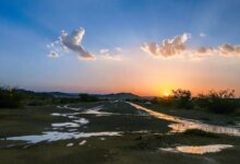 صور.-أجواء-منعشة-وضباب-يزين-مرتفعات-الباحة-ويجذب-المتنزهين