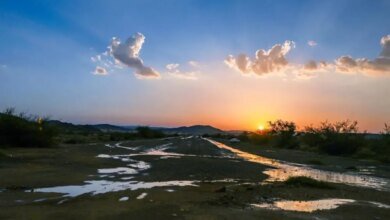 صور.-أجواء-منعشة-وضباب-يزين-مرتفعات-الباحة-ويجذب-المتنزهين