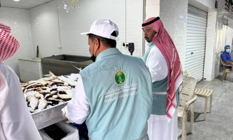 جولات-تفتيشية-على-سوق-السمك-بالقنفذة
