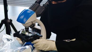 التراث-البيئي-يجذب-500-طالب-في-الدمام