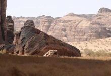 صور-|-محمية-شرعان-في-العُلا.-نموذج-عالمي-لإدارة-البيئات-الصحراوية