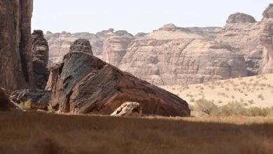 صور-|-محمية-شرعان-في-العُلا.-نموذج-عالمي-لإدارة-البيئات-الصحراوية